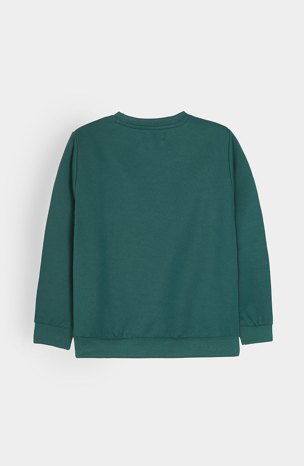 Printed Sweat-Shirt - BHK613425