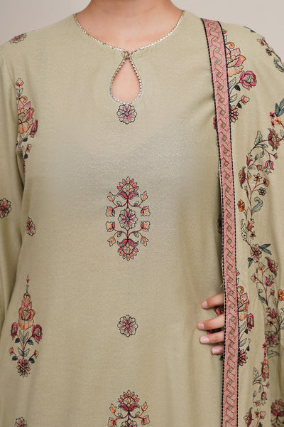 3 Piece - Embroidered Viscose Karandi Suit - E1821 - Shop Now at Kayseria