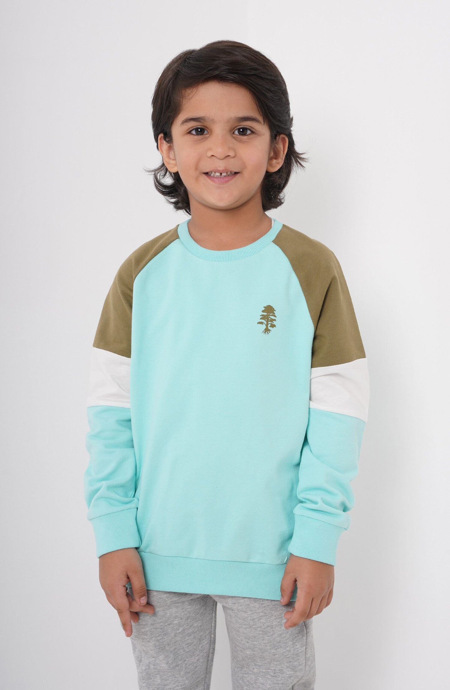 Color Block Sweatshirt