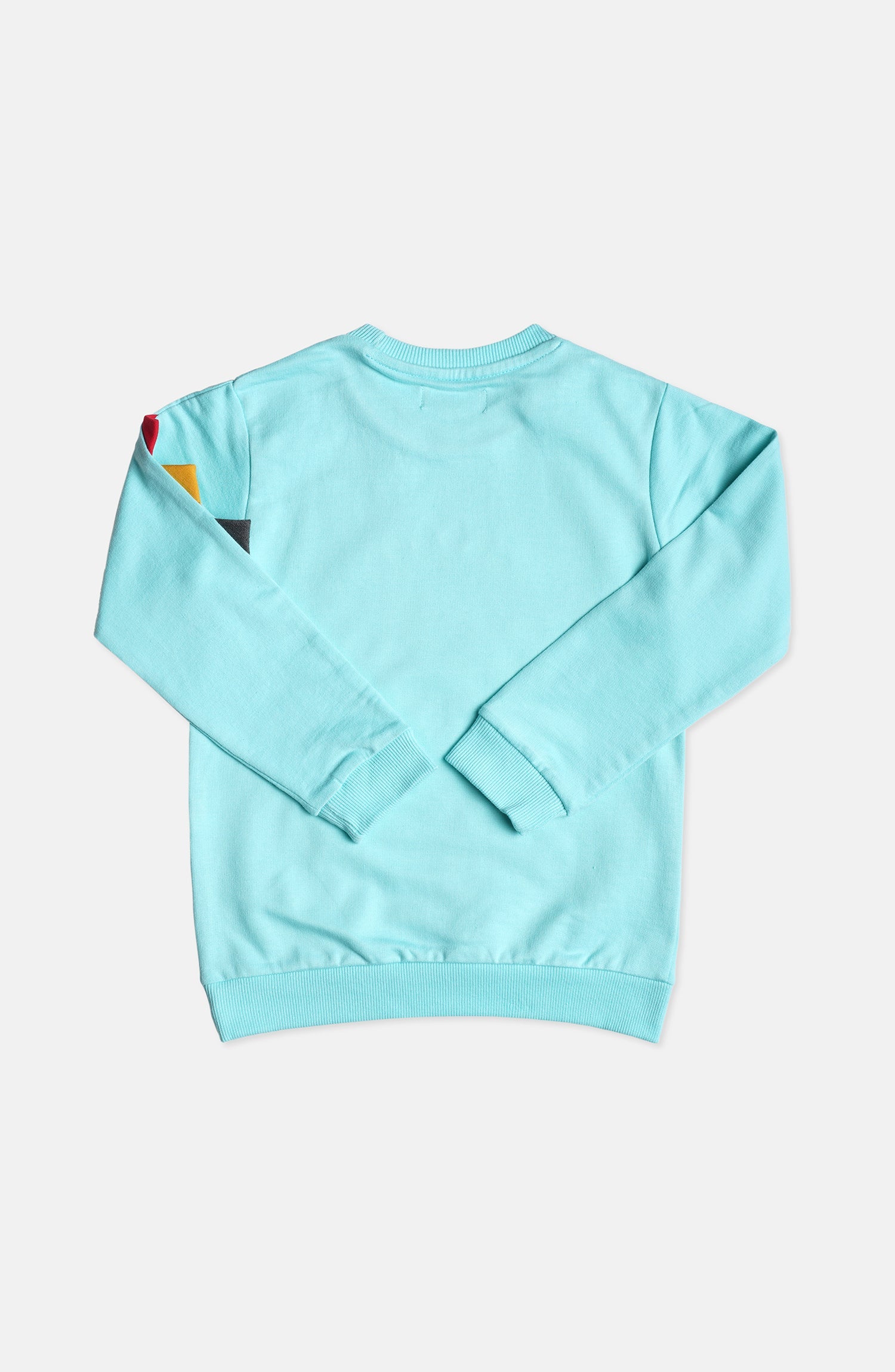 Dino Sweatshirt - IBHK610424 - Shop Now at Leisure Club