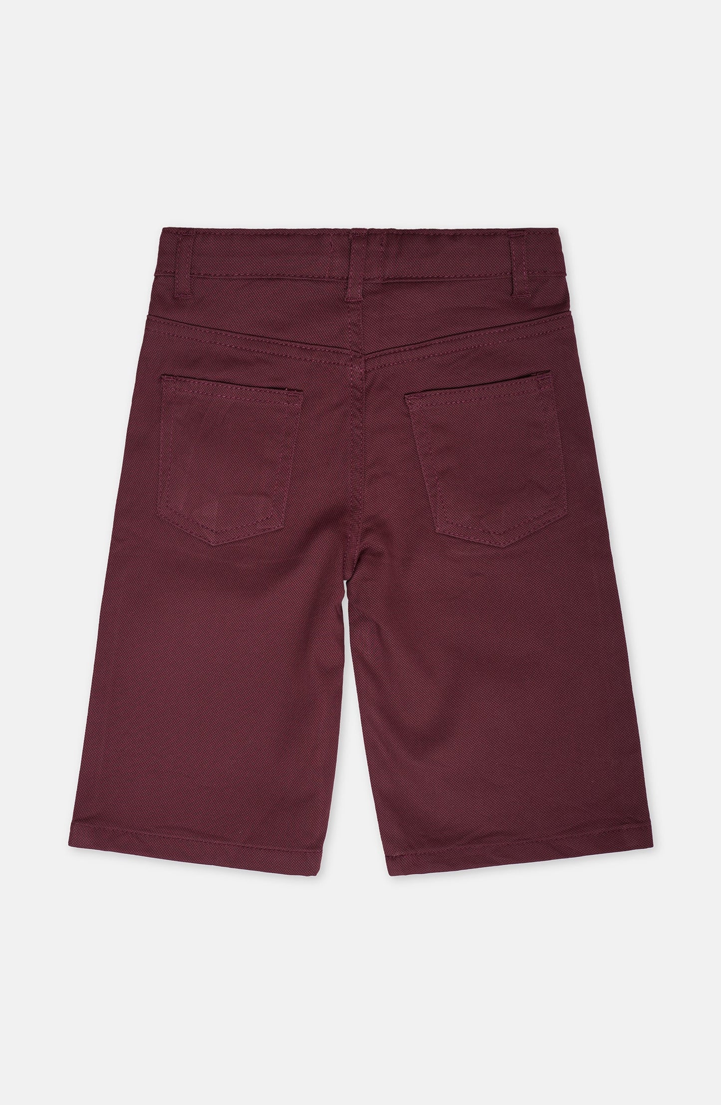 Regular Fit Shorts