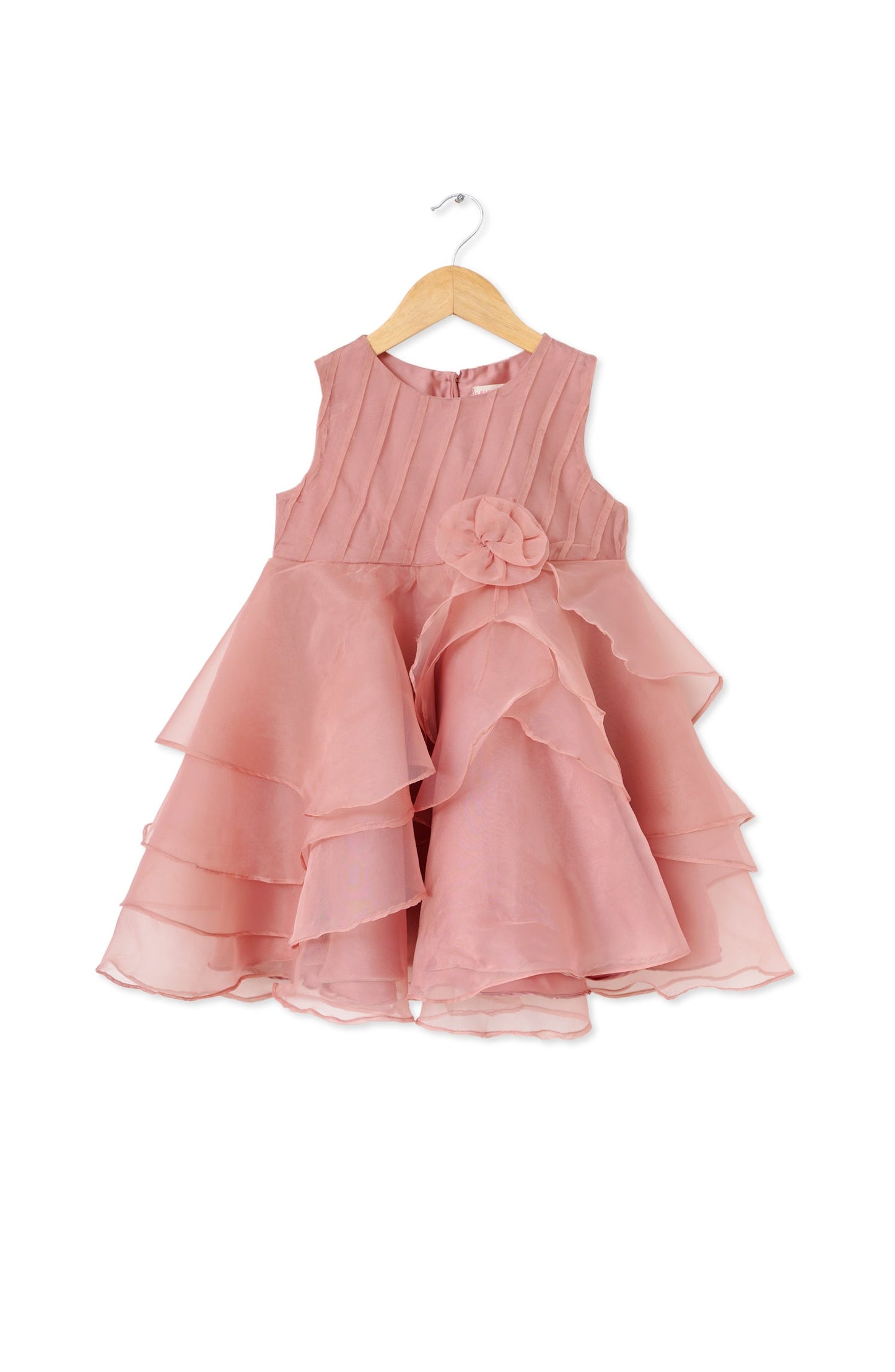 Fancy Organza Dress