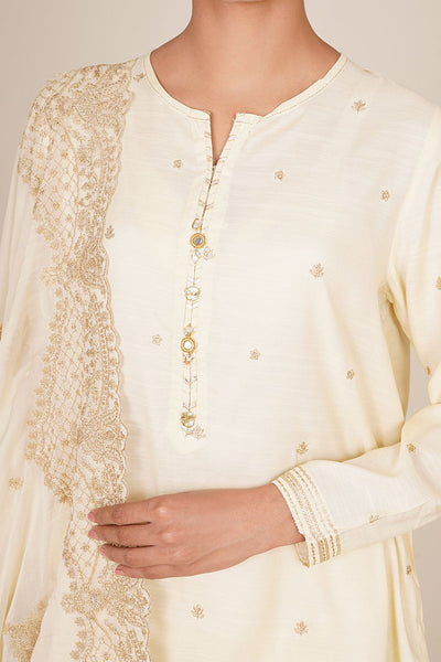 3 Piece - Embroidered & Embellished Raw Silk Suit - KPS25-P3192 - Shop Now at Kayseria