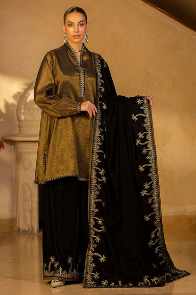 Embroidered Velvet Shawl - MCP1420 - Shop Now at Kayseria