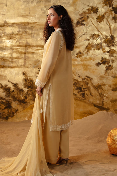 4 Piece - Embroidered Kara Cotton Suit - MCP1704-2 - Shop Now at Kayseria