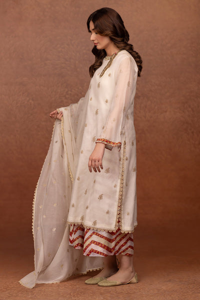 Printed Dhaka Malmal Trousers - MCP-1334-34 - Shop Now at Kayseria