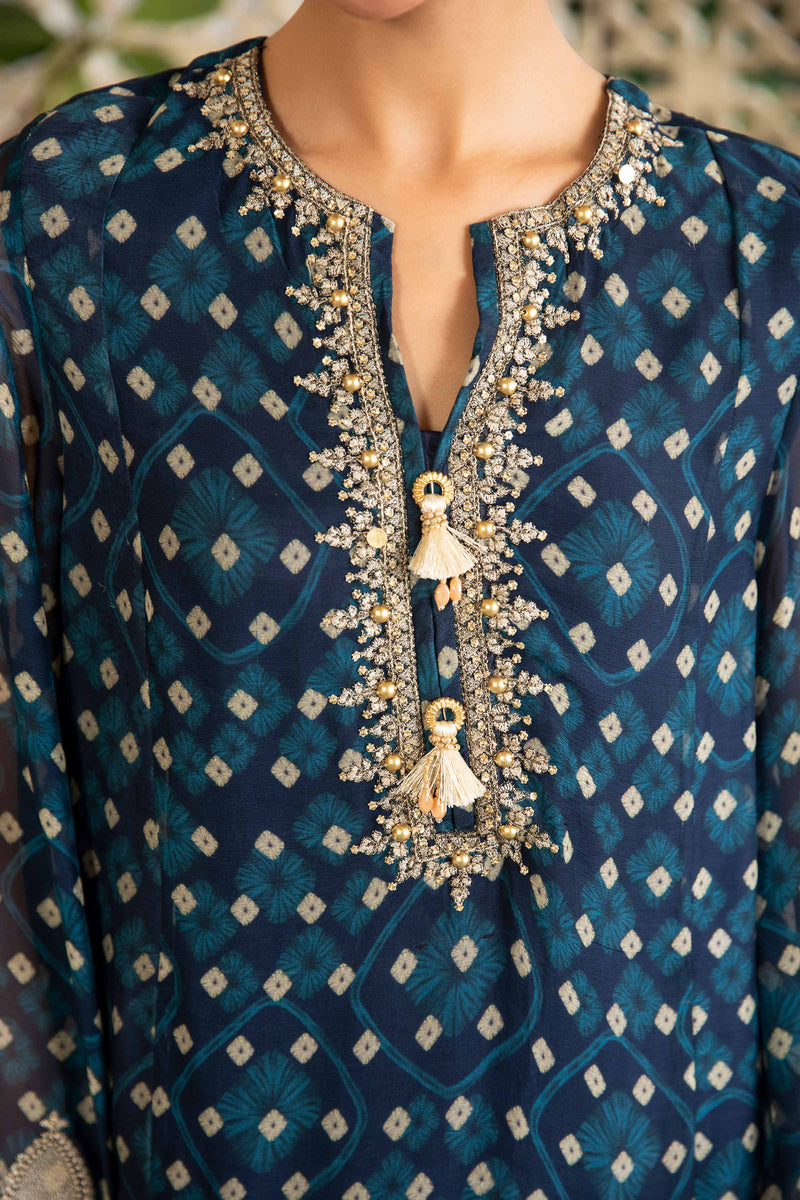 CHIFFON | EMBROIDERED