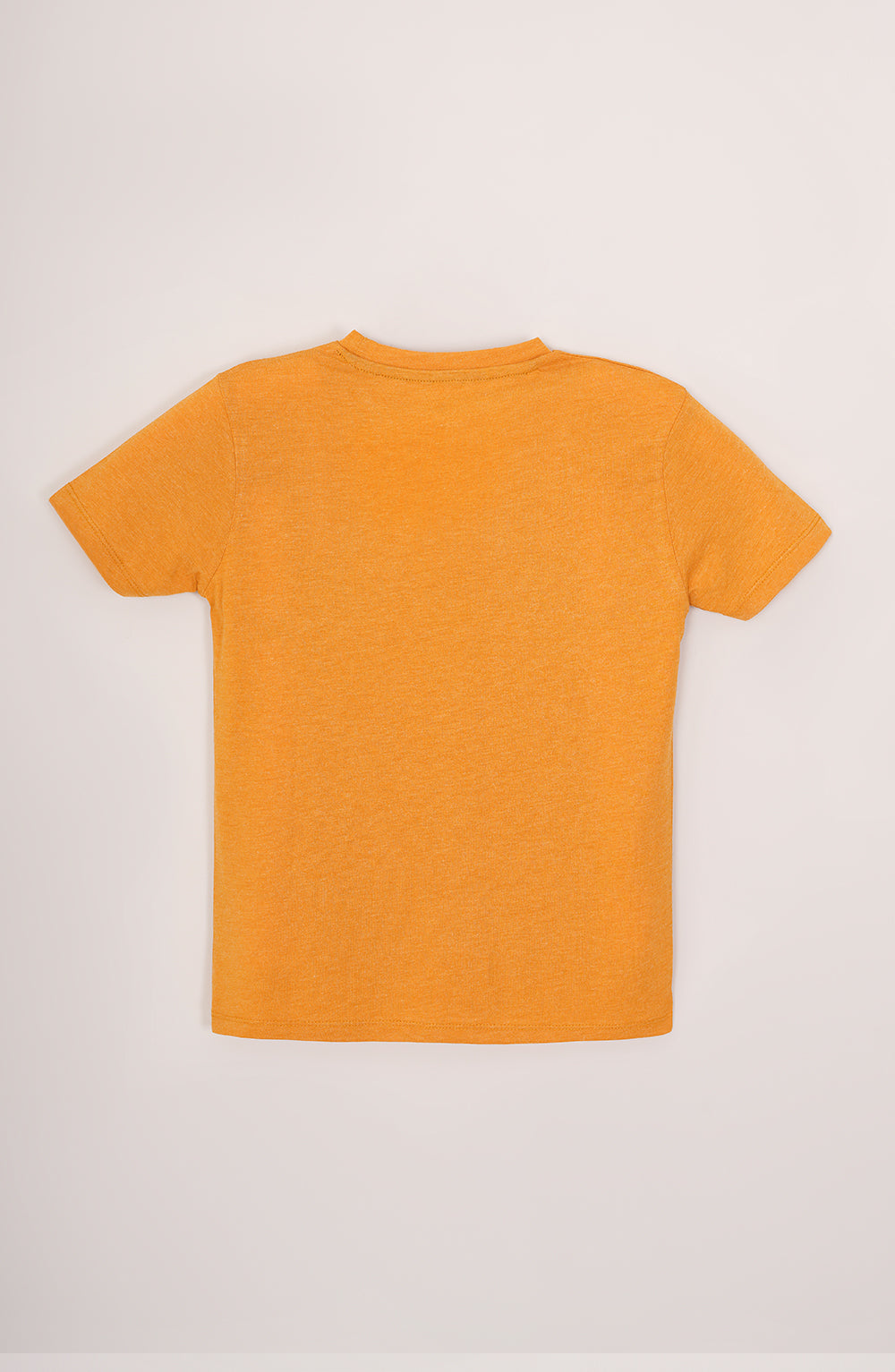 Boys Printed Tee