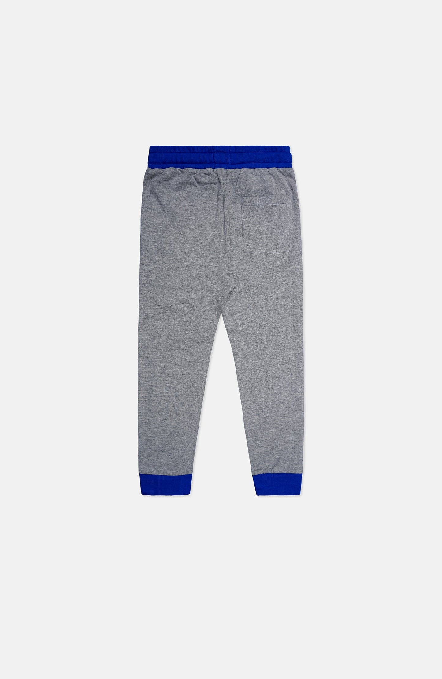 Sonic Suit