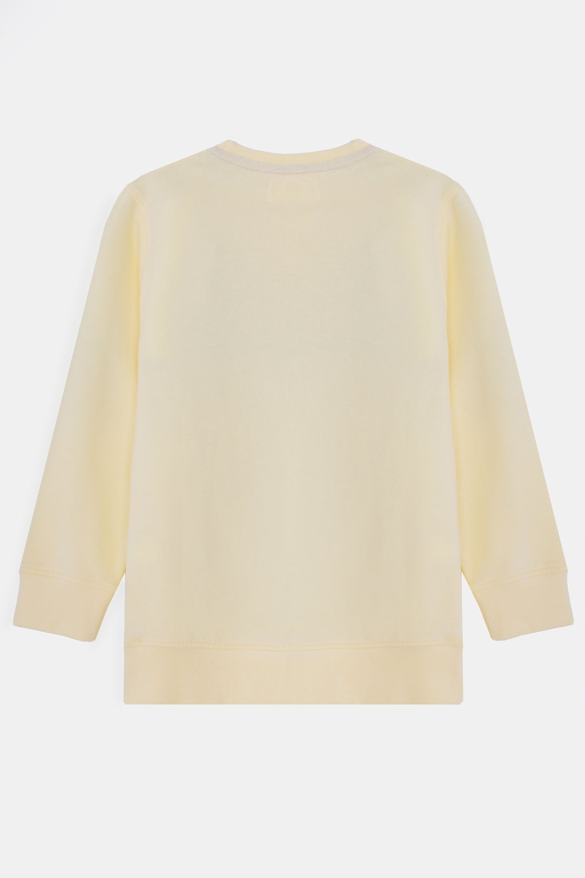 Boys Sweatshirt - BSWS613426