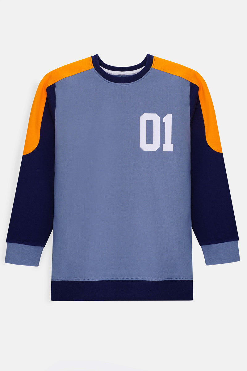 Boys Sweatshirt - BSWS615426