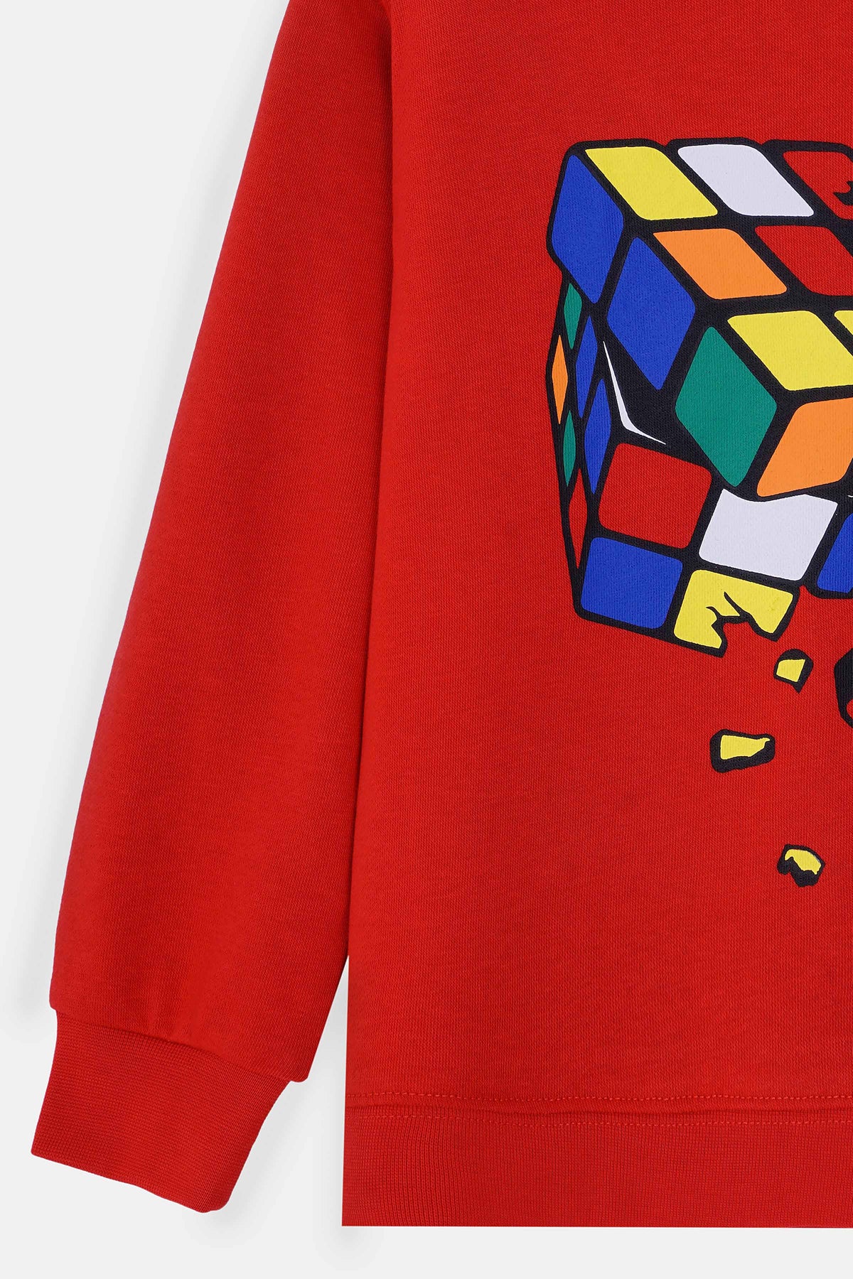 Boys Sweatshirt - BSWS618426