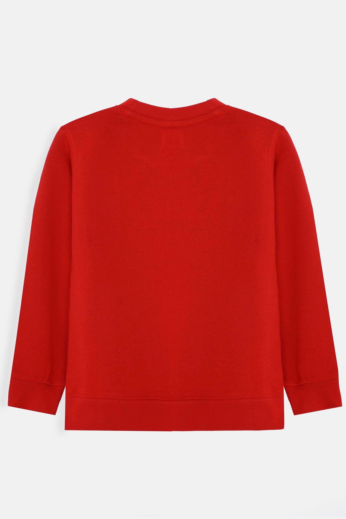 Boys Sweatshirt - BSWS618426