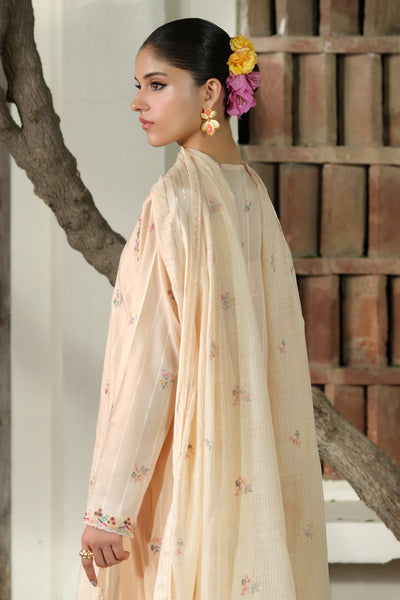 3 Piece -  Embroidered Stripe Lawn Suit - C6187 - Shop Now at Kayseria