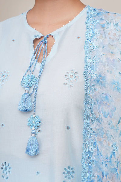 3 Piece - Embroidered Suit - C6323 - Shop Now at Kayseria