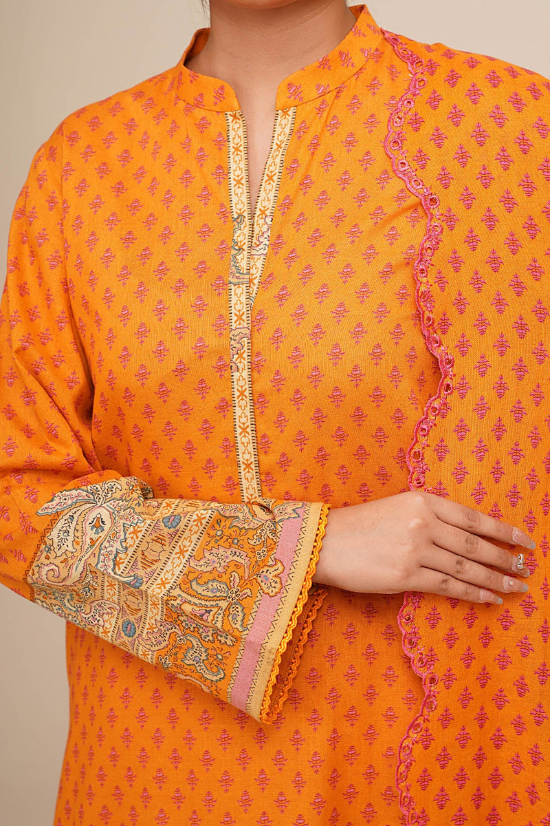 3 Piece - Printed & Embroidered Suit - C6367 - Shop Now at Kayseria