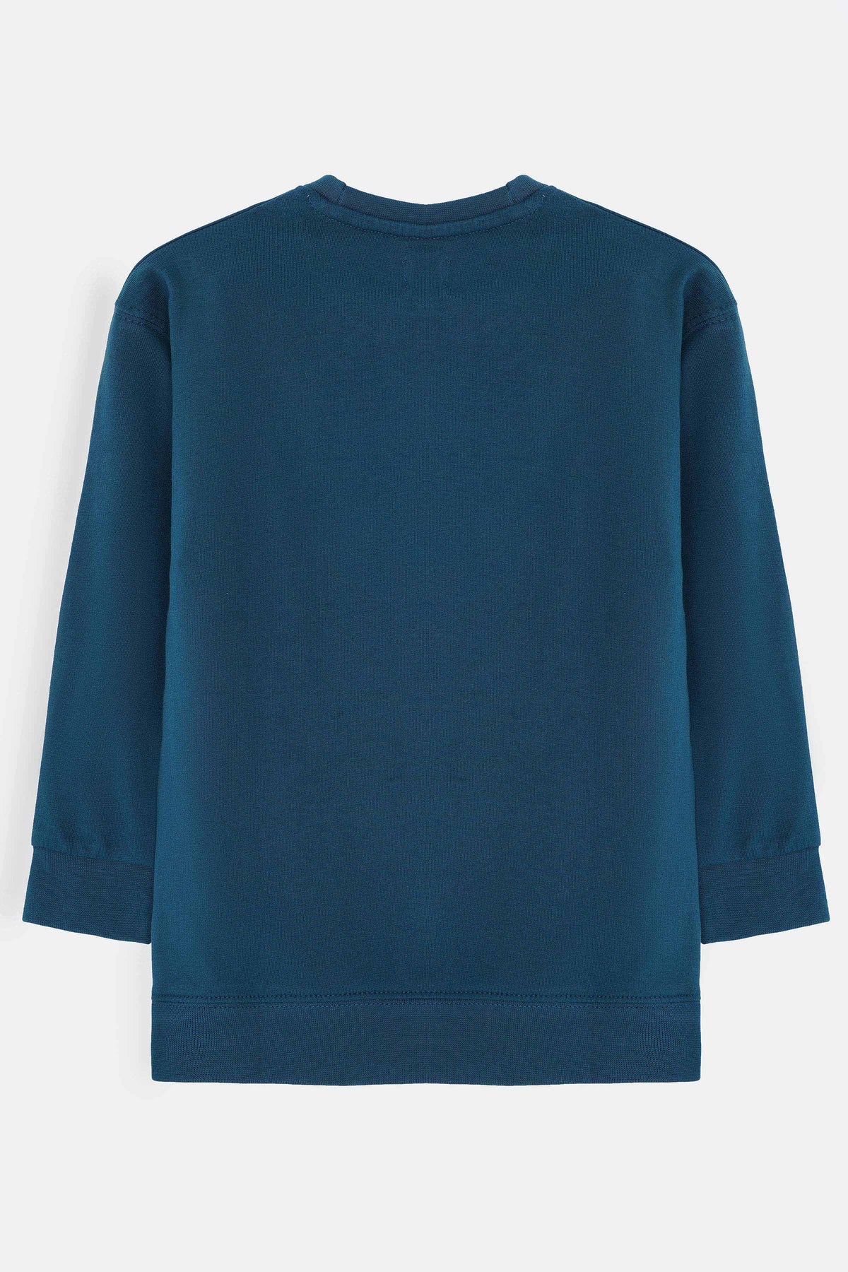 Girls Sweatshirt - GSWS628426