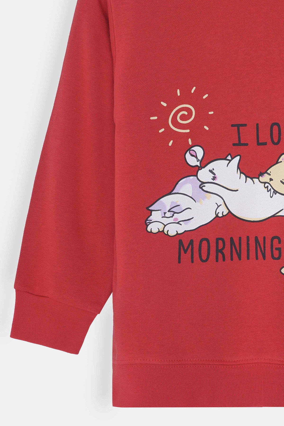 Girls Sweatshirt - GSWS629426