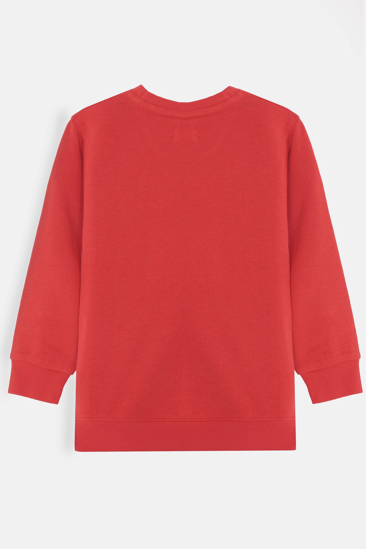 Girls Sweatshirt - GSWS629426