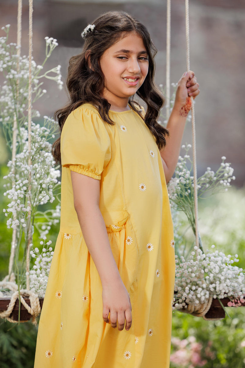 Embroidered Dress - GWD751226