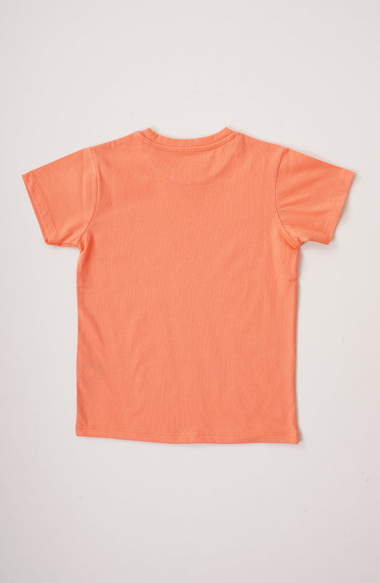 Boys Little Dude T-Shirt