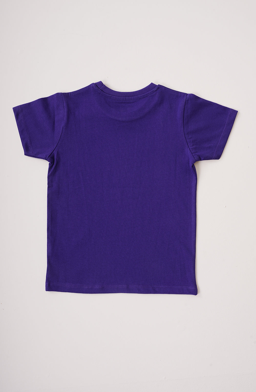 Boys Tiger T-Shirt