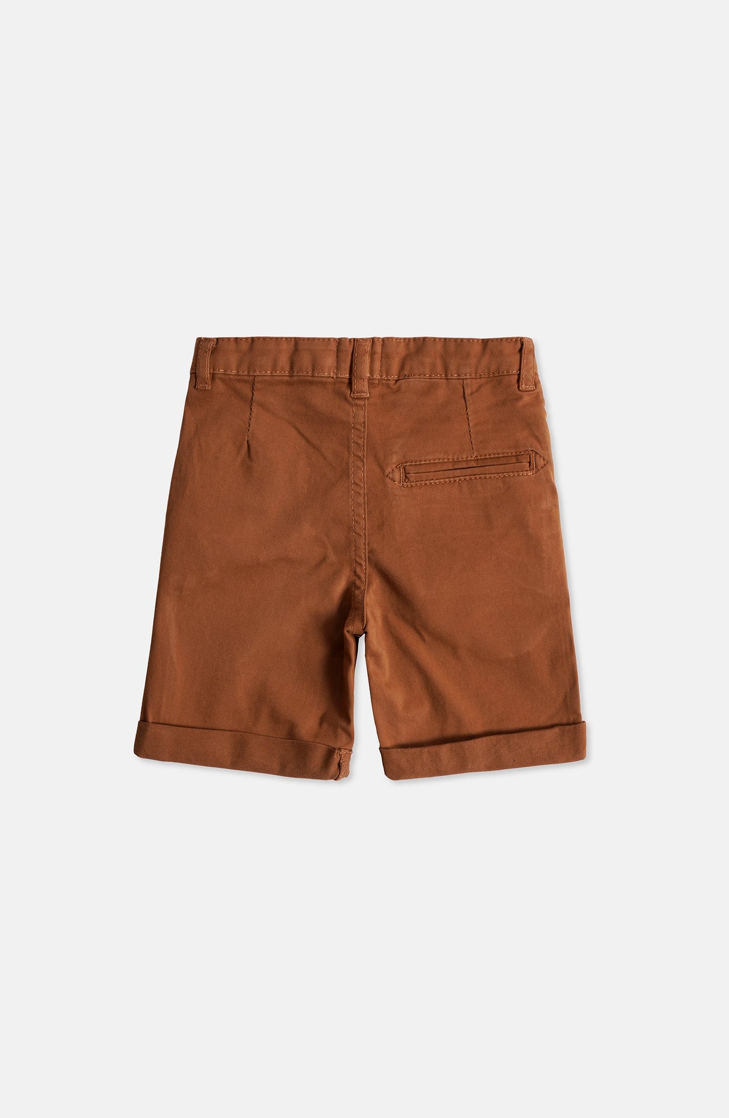 Regular Fit Shorts