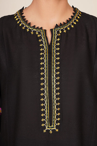 2 Piece - Embroidered Cotton Karandi Suit - KPW24-P3074-74