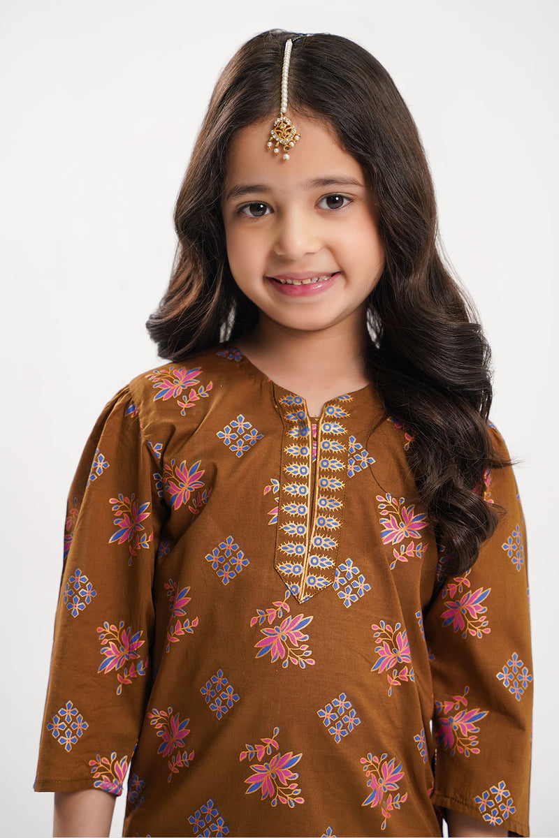 Alizeh 2 Piece Suit - LCP11126IF
