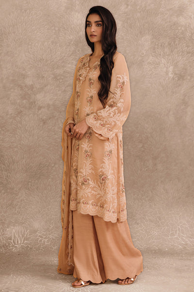 2 Piece - Embroidered Pure Chiffon Suit - MC1107-36 - Shop Now at Kayseria