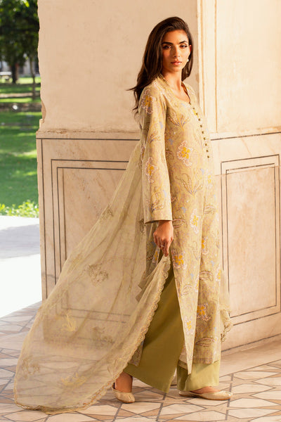 3 Piece - Printed & Embroidered Khaddar Suit - MC2100 - Shop Now at Kayseria