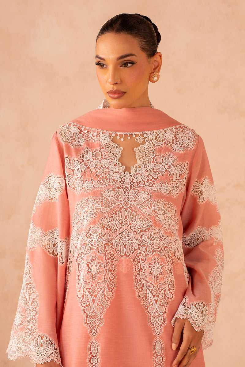 KARA COTTON | EMBROIDERED - Shop Now at Kayseria