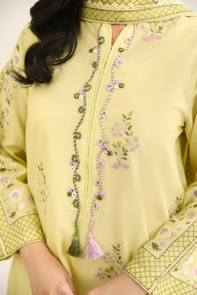 LAWN  |  EMBROIDERED - Shop Now at Kayseria