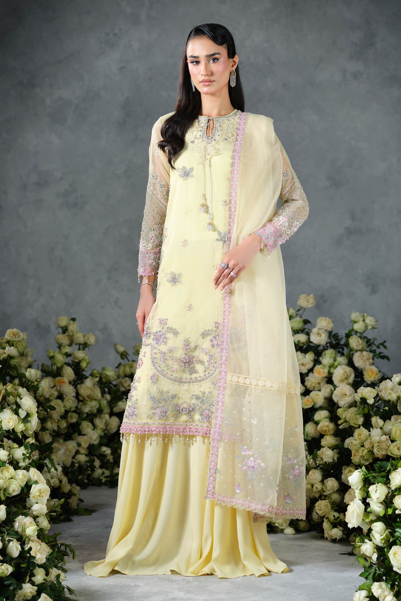 ORGANZA | EMBROIDERED
