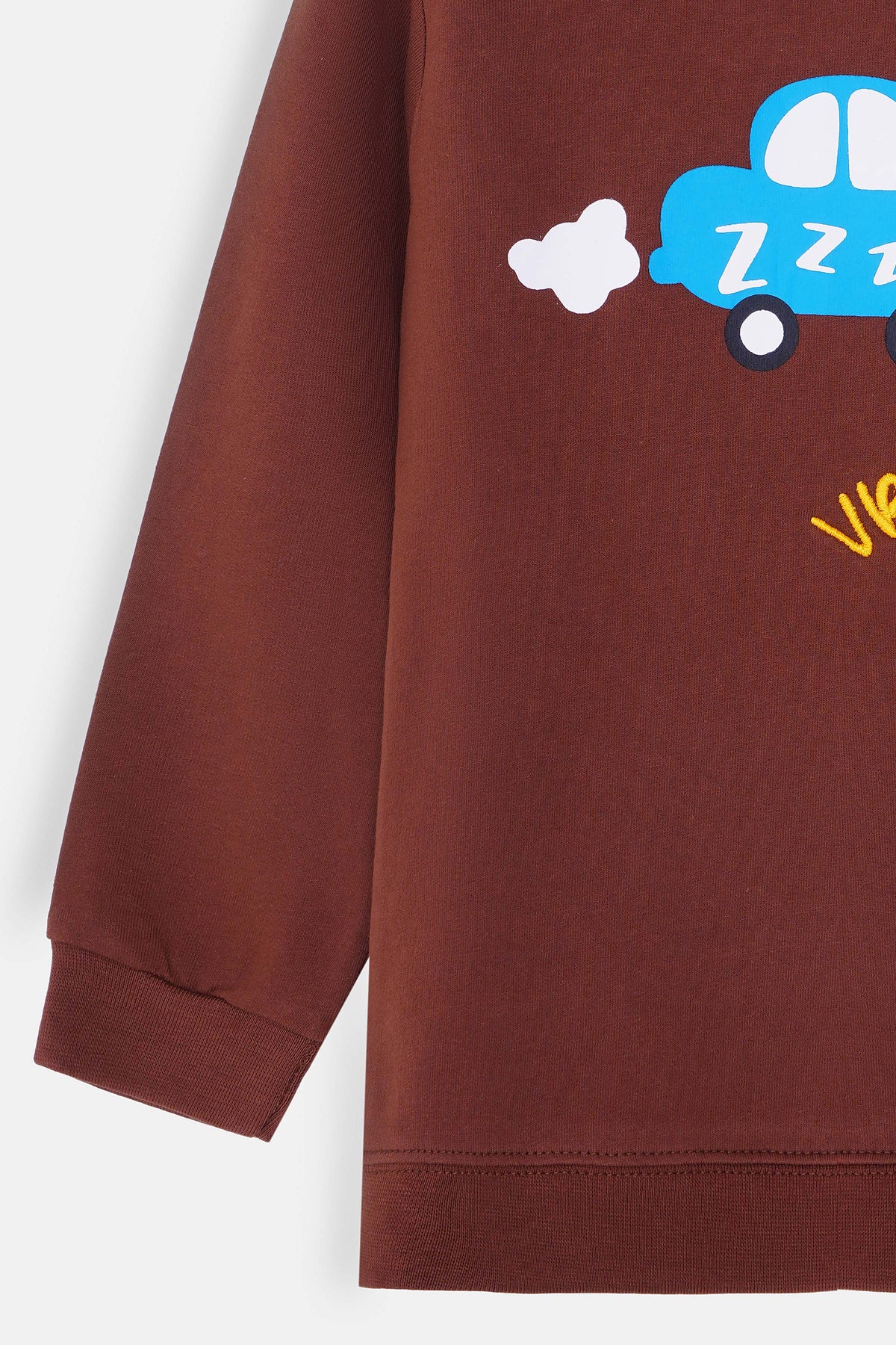 Boys Printed Sweatshirt - TBSWS425426