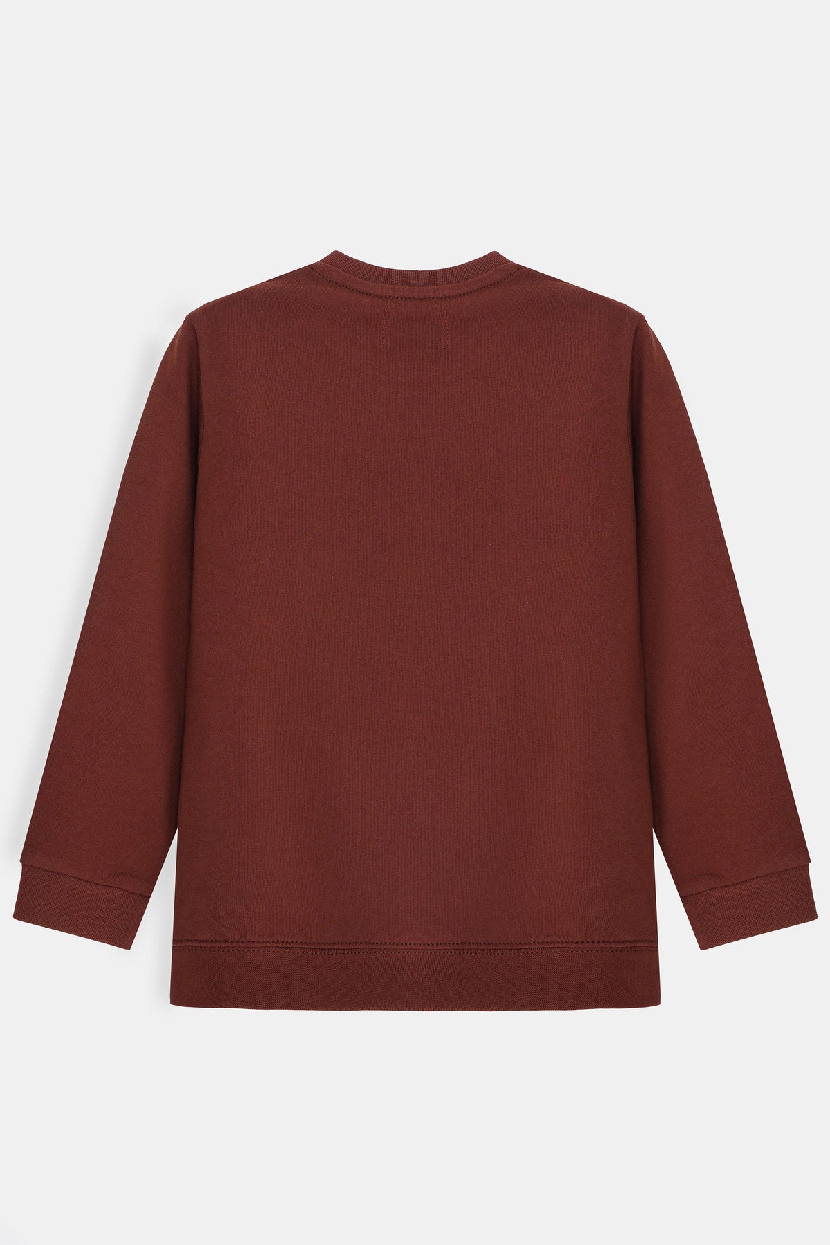 Boys Printed Sweatshirt - TBSWS425426