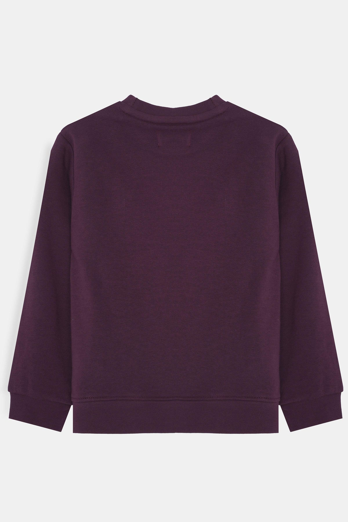 Girls Sweatshirt - TGKH349426