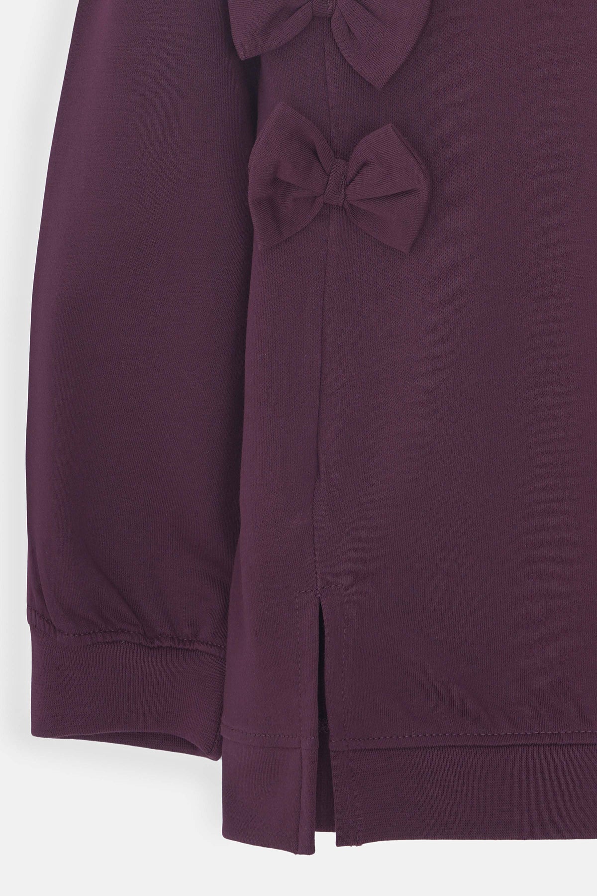 Girls Sweatshirt - TGSWS430426