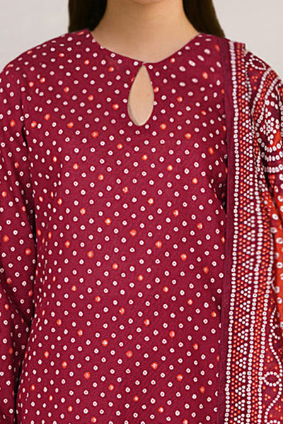 3 Piece - Printed Khaddar Suit - X7143